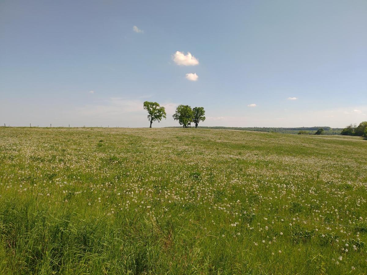 Haus Ringgau - Urlaub, Gemeinschaft Und Erlebnis Im Herzen Von Deutschland Herleshausen Exterior photo